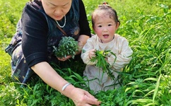 同城约战APP软件免费